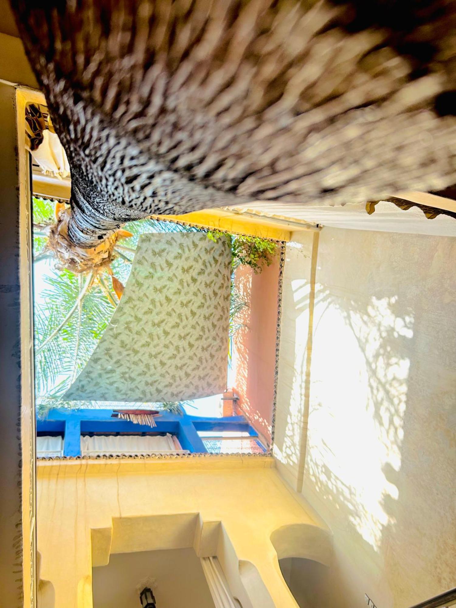 Riad Alamine Marrakesch Exterior foto